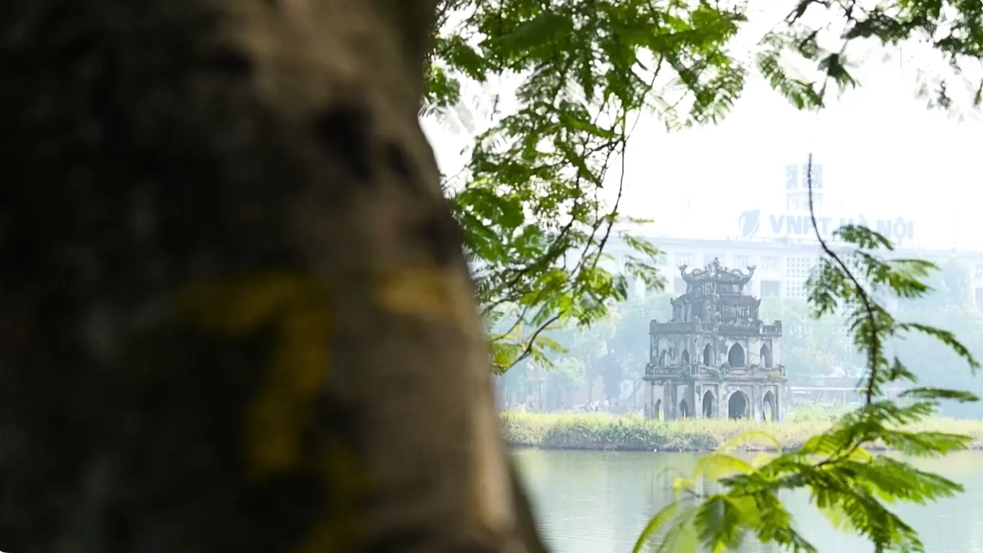 Thở cùng thành phố